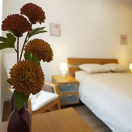 Casa Do Negrao * Ponta Delgada